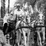 one and only palmilla wedding photography in cabo