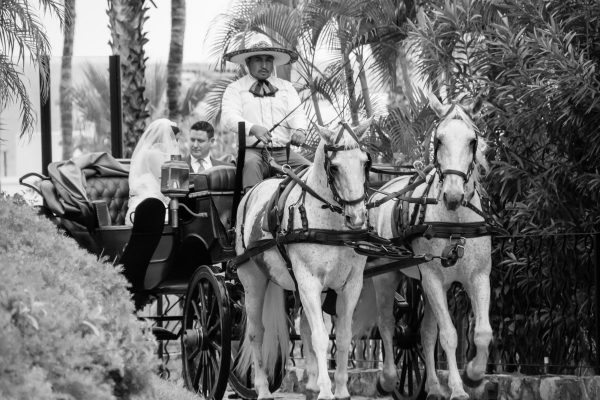 one and only palmilla wedding photography in cabo