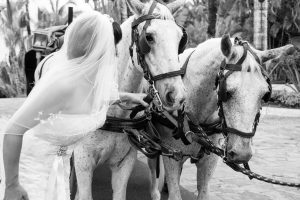one and only palmilla wedding photography in cabo