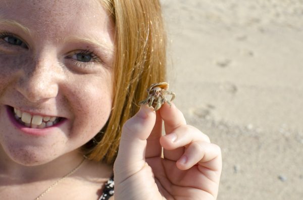 cabo family photography
